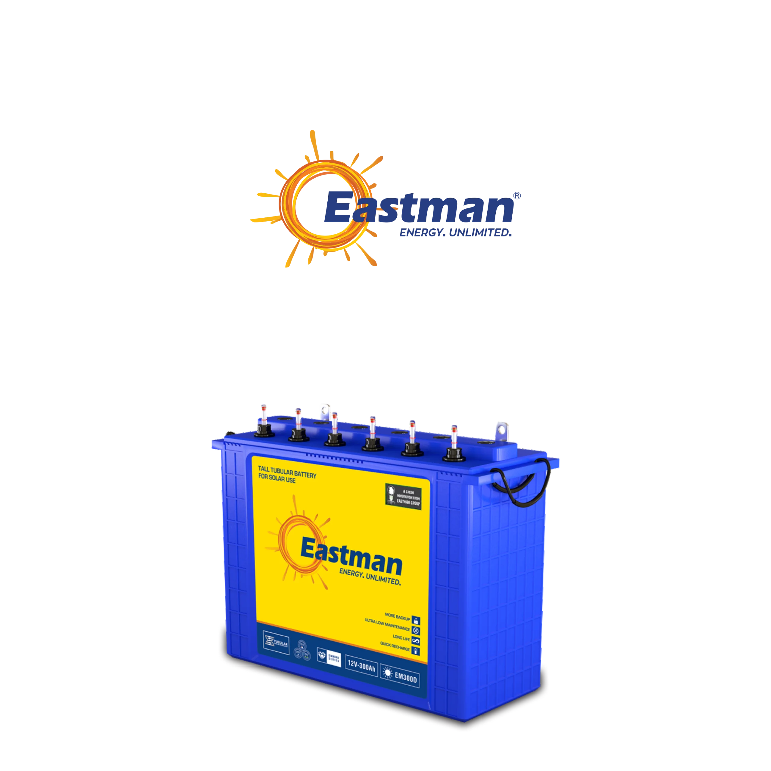 eastman battery tubular battery supplier