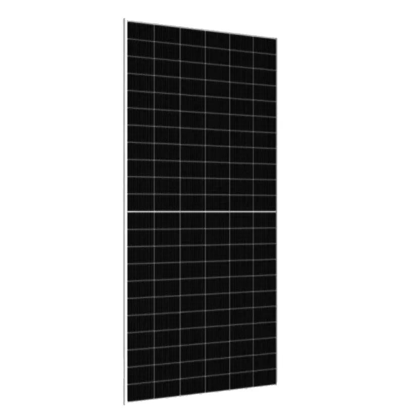 image - 2025-02-19T194920